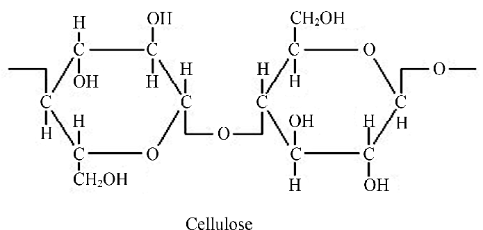 Structure-of-cellulose
