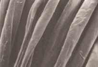 soi-cotton-qua-xu-ly-mercer