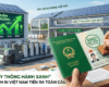 SẢN XUẤT BỀN VỮNG (ESG) & DẤU CHÂN CARBON: “GIẤY THÔNG HÀNH XANH” ĐỂ NGÀNH IN VIỆT NAM TIẾN RA TOÀN CẦU